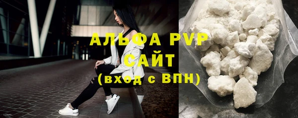 стаф Усинск