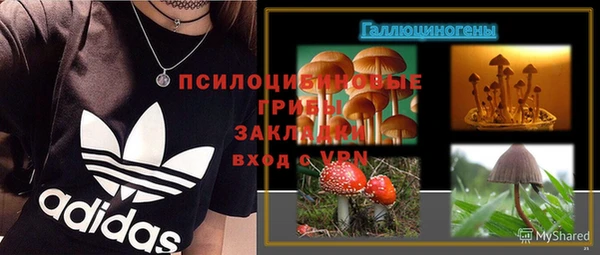 стаф Усинск
