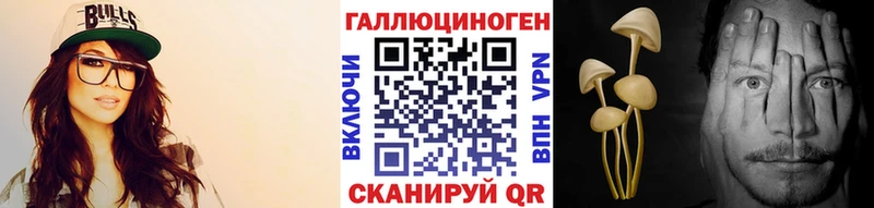 Купить где  Кингисепп  Псилоцибиновые грибы мухоморы 